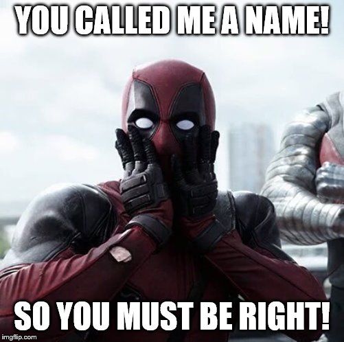 Deadpool Surprised Meme | YOU CALLED ME A NAME! SO YOU MUST BE RIGHT! | image tagged in memes,deadpool surprised | made w/ Imgflip meme maker