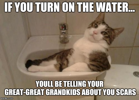 lazy cat | IF YOU TURN ON THE WATER... YOULL BE TELLING YOUR GREAT-GREAT GRANDKIDS ABOUT YOU SCARS | image tagged in lazy cat | made w/ Imgflip meme maker