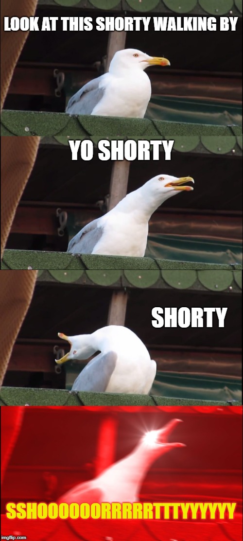 Inhaling Seagull | LOOK AT THIS SHORTY WALKING BY; YO SHORTY; SHORTY; SSHOOOOOORRRRRTTTYYYYYY | image tagged in memes,inhaling seagull | made w/ Imgflip meme maker