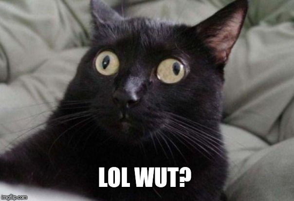 Confused Cat | LOL WUT? | image tagged in confused cat | made w/ Imgflip meme maker