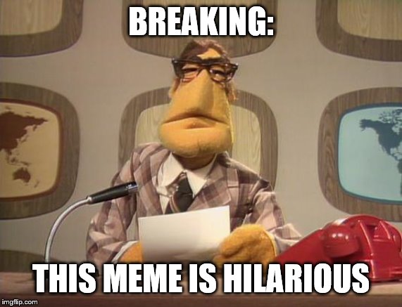 muppet news | BREAKING: THIS MEME IS HILARIOUS | image tagged in muppet news | made w/ Imgflip meme maker