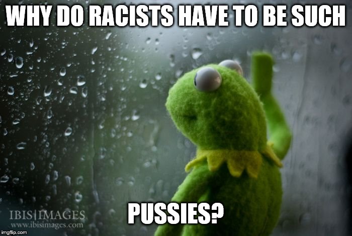 kermit window | WHY DO RACISTS HAVE TO BE SUCH PUSSIES? | image tagged in kermit window | made w/ Imgflip meme maker