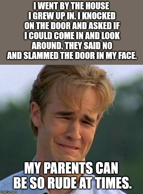 Is this called "Tough Love"? | I WENT BY THE HOUSE I GREW UP IN. I KNOCKED ON THE DOOR AND ASKED IF I COULD COME IN AND LOOK AROUND. THEY SAID NO AND SLAMMED THE DOOR IN MY FACE. MY PARENTS CAN BE SO RUDE AT TIMES. | image tagged in memes,1990s first world problems | made w/ Imgflip meme maker