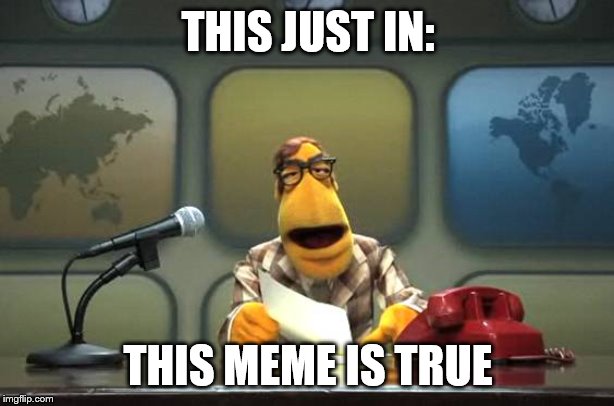 Muppet News Flash | THIS JUST IN: THIS MEME IS TRUE | image tagged in muppet news flash | made w/ Imgflip meme maker