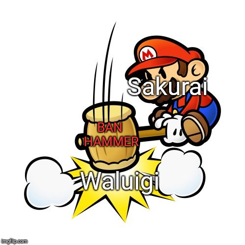 Mario Hammer Smash | Sakurai; BAN HAMMER; Waluigi | image tagged in memes,mario hammer smash | made w/ Imgflip meme maker