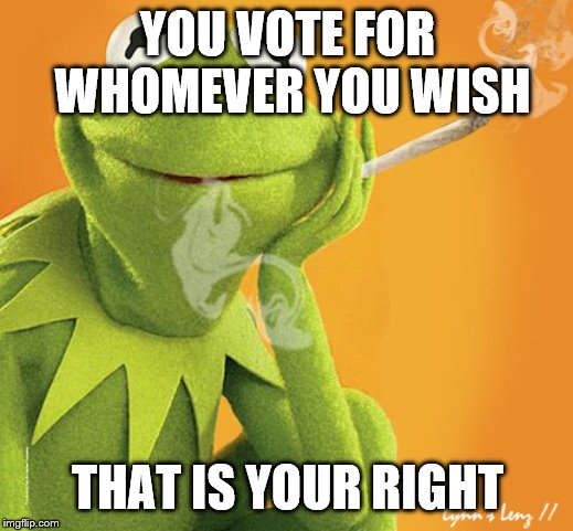 YOU VOTE FOR WHOMEVER YOU WISH THAT IS YOUR RIGHT | made w/ Imgflip meme maker