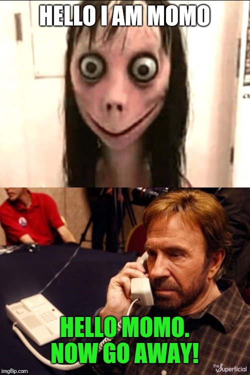 Please everyone! Stop this momo crap! I bet Chuck Norris is fed up with this as well!  | HELLO I AM MOMO; HELLO MOMO. NOW GO AWAY! | image tagged in memes,momo,its time to stop,stop it get some help,chuck norris | made w/ Imgflip meme maker