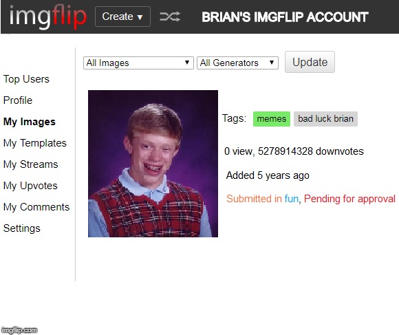 posted a meme 5 years ago, not featured, zero view, millions of downvotes,  | BRIAN'S IMGFLIP ACCOUNT | image tagged in memes,bad luck brian | made w/ Imgflip meme maker