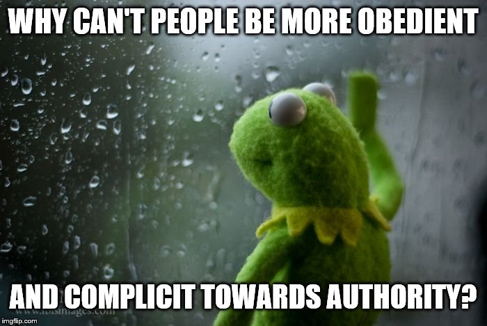 kermit window | WHY CAN'T PEOPLE BE MORE OBEDIENT AND COMPLICIT TOWARDS AUTHORITY? | image tagged in kermit window | made w/ Imgflip meme maker