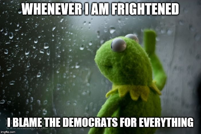 kermit window | WHENEVER I AM FRIGHTENED I BLAME THE DEMOCRATS FOR EVERYTHING | image tagged in kermit window | made w/ Imgflip meme maker