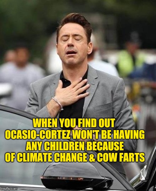 Robert Downy Jr | WHEN YOU FIND OUT OCASIO-CORTEZ WON'T BE HAVING ANY CHILDREN BECAUSE OF CLIMATE CHANGE & COW FARTS | image tagged in robert downy jr | made w/ Imgflip meme maker
