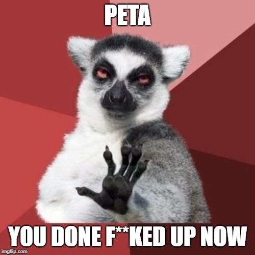 animal | PETA; YOU DONE F**KED UP NOW | image tagged in animal | made w/ Imgflip meme maker