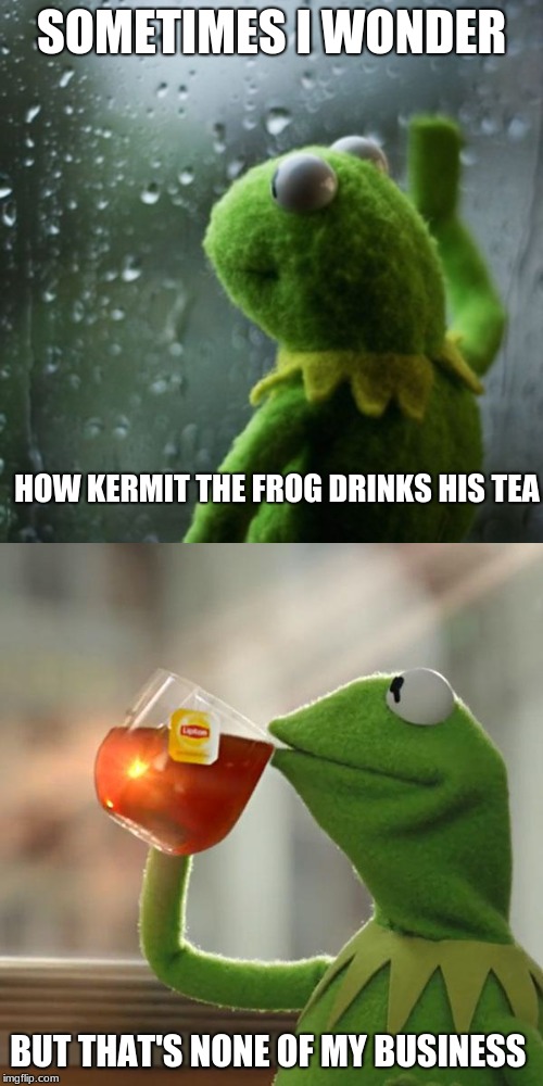 Sometimes I Wonder Kermit | SOMETIMES I WONDER; HOW KERMIT THE FROG DRINKS HIS TEA; BUT THAT'S NONE OF MY BUSINESS | image tagged in memes,but thats none of my business,sometimes i wonder | made w/ Imgflip meme maker