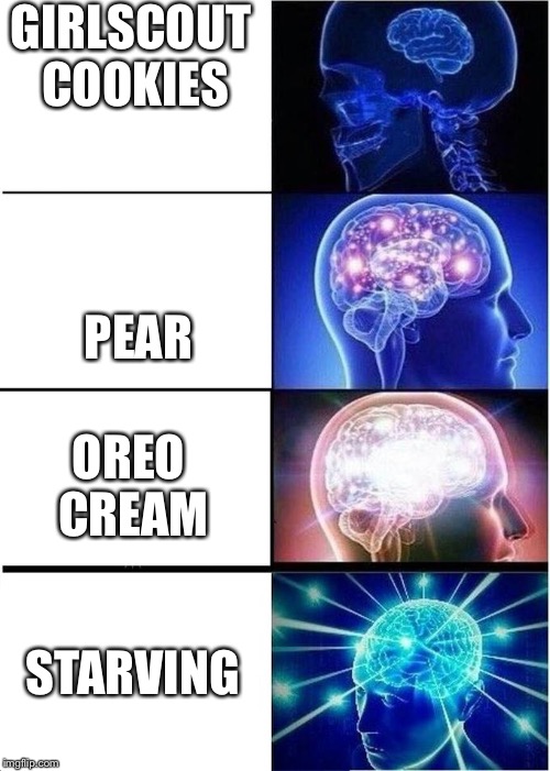 levels of intelligence | GIRLSCOUT COOKIES; PEAR; OREO CREAM; STARVING | image tagged in levels of intelligence | made w/ Imgflip meme maker