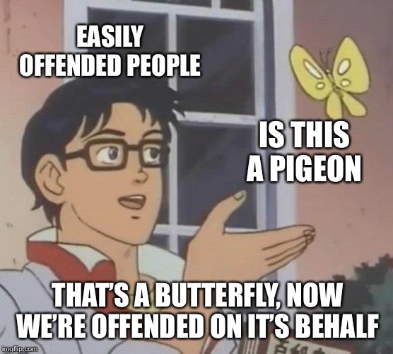 Is This A Pigeon Meme | EASILY OFFENDED PEOPLE IS THIS A PIGEON THAT’S A BUTTERFLY, NOW WE’RE OFFENDED ON IT’S BEHALF | image tagged in memes,is this a pigeon | made w/ Imgflip meme maker