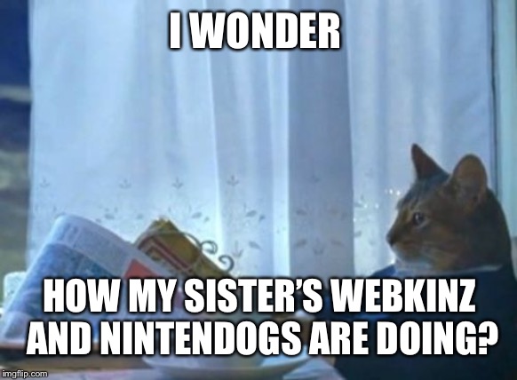 I Should Buy A Boat Cat | I WONDER; HOW MY SISTER’S WEBKINZ AND NINTENDOGS ARE DOING? | image tagged in memes,i should buy a boat cat | made w/ Imgflip meme maker