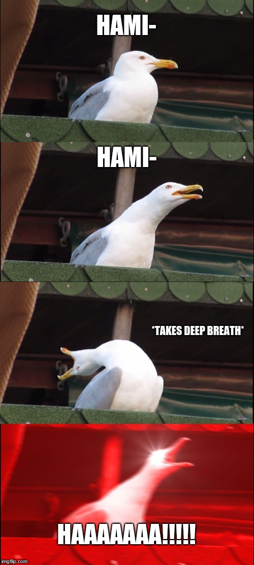 Inhaling Seagull | HAMI-; HAMI-; *TAKES DEEP BREATH*; HAAAAAAA!!!!! | image tagged in memes,inhaling seagull | made w/ Imgflip meme maker