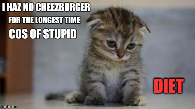 And that cheezez me off | I HAZ NO CHEEZBURGER; FOR THE LONGEST TIME; COS OF STUPID; DIET | image tagged in sad kitten,cheeseburger,diet,dieting | made w/ Imgflip meme maker