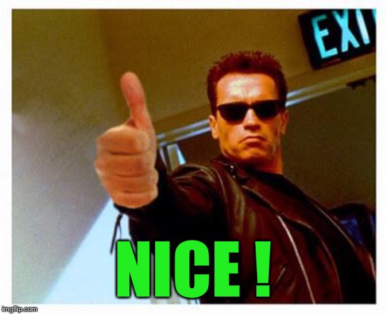 terminator thumbs up | NICE ! | image tagged in terminator thumbs up | made w/ Imgflip meme maker