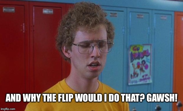 Napoleon Dynamite Skills | AND WHY THE FLIP WOULD I DO THAT? GAWSH! | image tagged in napoleon dynamite skills | made w/ Imgflip meme maker
