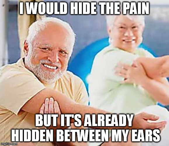 hide the pain harold alternate | I WOULD HIDE THE PAIN; BUT IT'S ALREADY HIDDEN BETWEEN MY EARS | image tagged in harold alternate | made w/ Imgflip meme maker