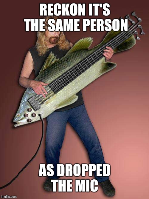 Bass guitar fish | RECKON IT'S THE SAME PERSON AS DROPPED THE MIC | image tagged in bass guitar fish | made w/ Imgflip meme maker