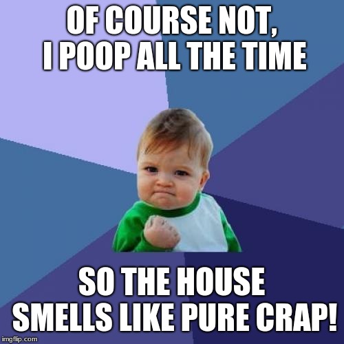 Success Kid Meme | OF COURSE NOT, I POOP ALL THE TIME SO THE HOUSE SMELLS LIKE PURE CRAP! | image tagged in memes,success kid | made w/ Imgflip meme maker