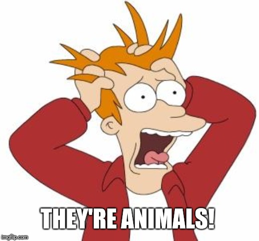 Fry Freaking Out | THEY'RE ANIMALS! | image tagged in fry freaking out | made w/ Imgflip meme maker