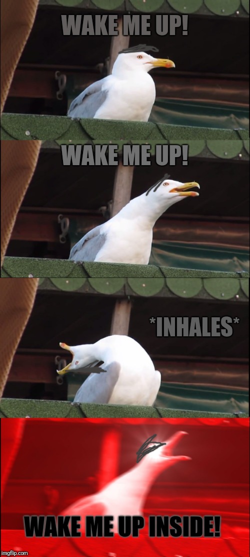 Inhaling Seagull Meme | WAKE ME UP! WAKE ME UP! *INHALES* WAKE ME UP INSIDE! | image tagged in memes,inhaling seagull | made w/ Imgflip meme maker