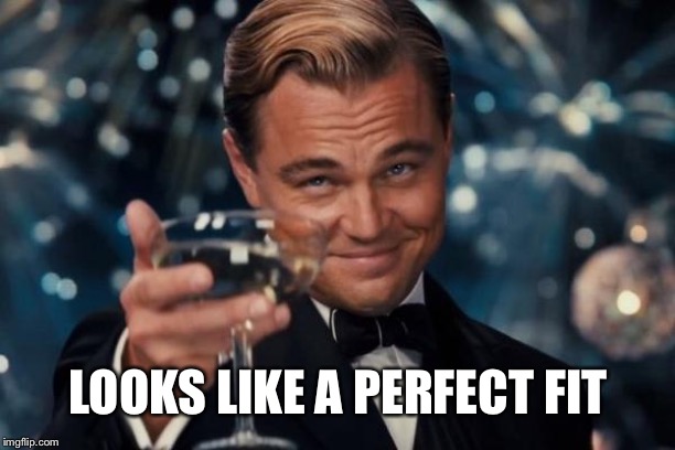 Leonardo Dicaprio Cheers Meme | LOOKS LIKE A PERFECT FIT | image tagged in memes,leonardo dicaprio cheers | made w/ Imgflip meme maker