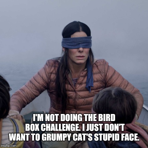 Bird Box Meme | I'M NOT DOING THE BIRD BOX CHALLENGE. I JUST DON'T WANT TO GRUMPY CAT'S STUPID FACE. | image tagged in memes,bird box | made w/ Imgflip meme maker
