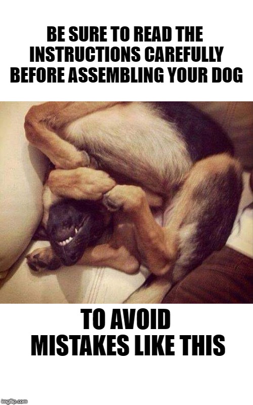 read carefully  | BE SURE TO READ THE INSTRUCTIONS CAREFULLY BEFORE ASSEMBLING YOUR DOG; TO AVOID MISTAKES LIKE THIS | image tagged in dog,assembly instructions,silly | made w/ Imgflip meme maker