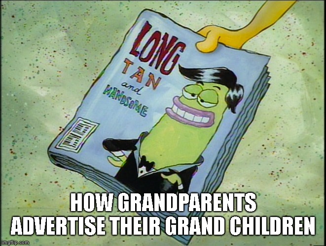 HOW GRANDPARENTS ADVERTISE THEIR GRAND CHILDREN | image tagged in funny memes | made w/ Imgflip meme maker