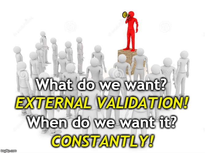 What do we want? EXTERNAL VALIDATION! When do we want it? CONSTANTLY! | image tagged in external validation | made w/ Imgflip meme maker