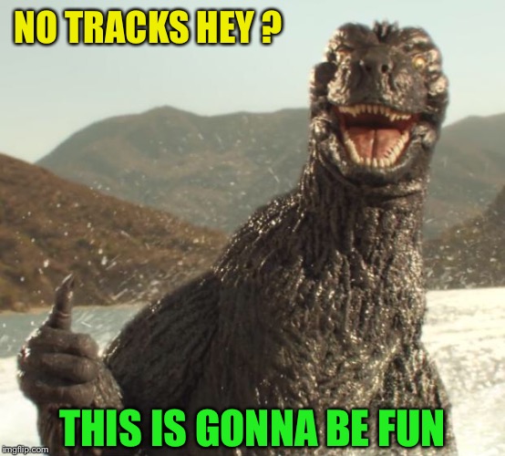 Godzilla approved | NO TRACKS HEY ? THIS IS GONNA BE FUN | image tagged in godzilla approved | made w/ Imgflip meme maker