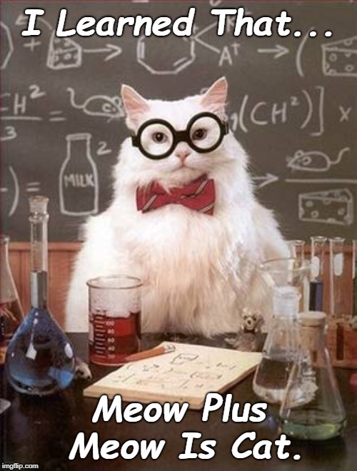 Science Cat Good Day | I Learned That... Meow Plus Meow Is Cat. | image tagged in science cat good day | made w/ Imgflip meme maker
