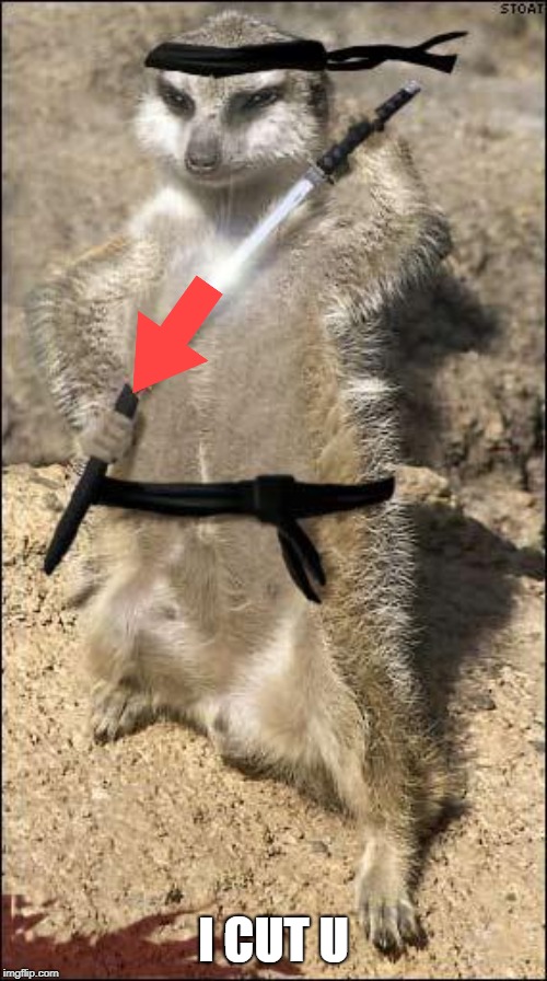 ninja meerkat | I CUT U | image tagged in ninja meerkat | made w/ Imgflip meme maker