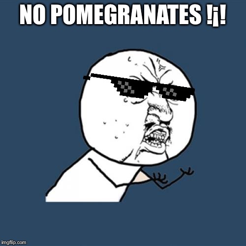 Y U No | NO POMEGRANATES !¡! | image tagged in memes,y u no | made w/ Imgflip meme maker