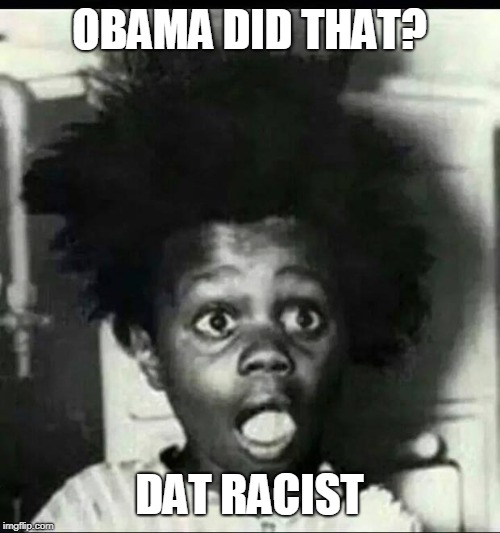 buckwheat shocked | OBAMA DID THAT? DAT RACIST | image tagged in buckwheat shocked | made w/ Imgflip meme maker