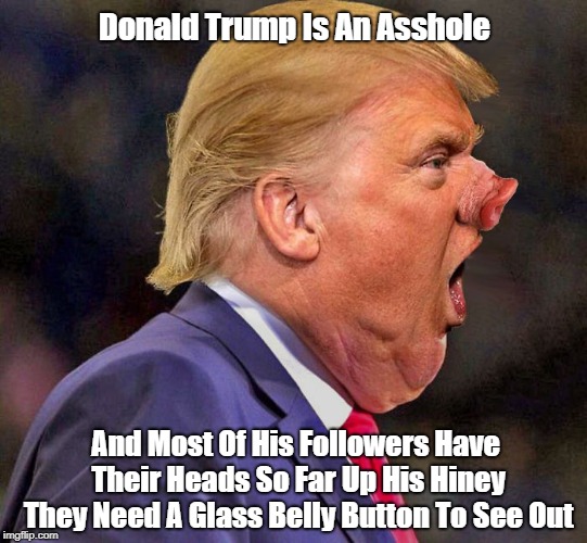 Donald Trump Is An Asshole And Most Of His Followers Have Their Heads So Far Up His Hiney They Need A Glass Belly Button To See Out | made w/ Imgflip meme maker