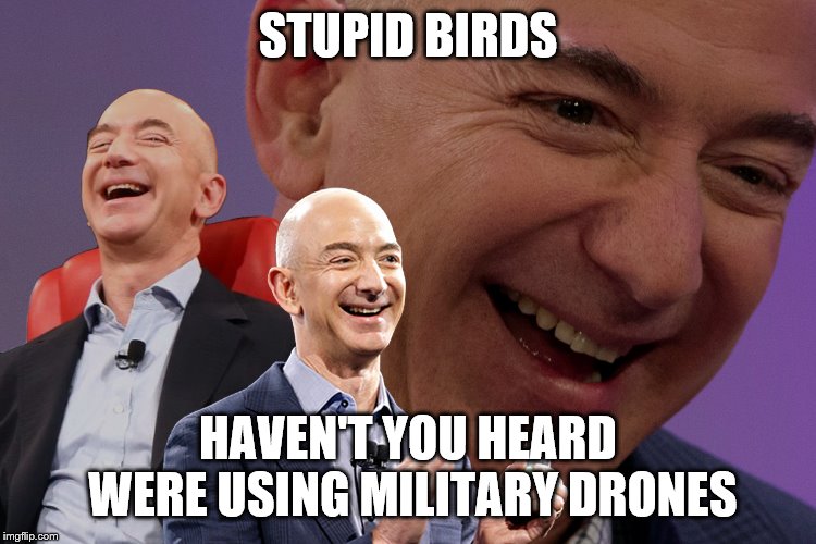 Jeff Bezos Laughing | STUPID BIRDS HAVEN'T YOU HEARD WERE USING MILITARY DRONES | image tagged in jeff bezos laughing | made w/ Imgflip meme maker