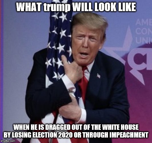 LYING DISINGENUOUS trump! | WHAT trump WILL LOOK LIKE; WHEN HE IS DRAGGED OUT OF THE WHITE HOUSE BY LOSING ELECTION 2020 OR THROUGH IMPEACHMENT | image tagged in trump unfit unqualified dangerous,trump lies,trump traitor,trump is a criminal,mueller time,impeach trump | made w/ Imgflip meme maker