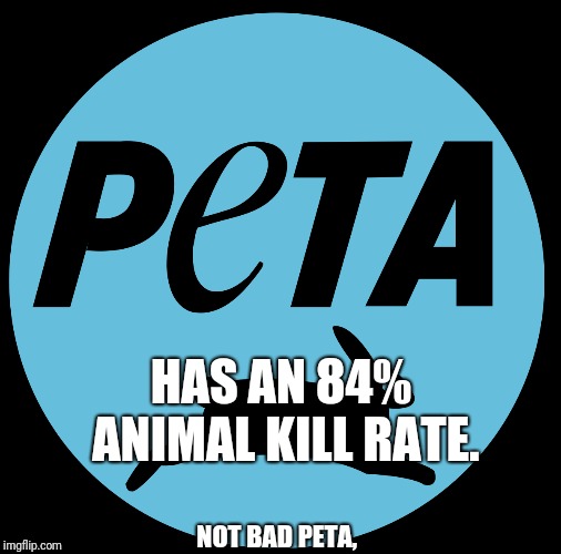 Peta | HAS AN 84% ANIMAL KILL RATE. NOT BAD PETA, | image tagged in animals | made w/ Imgflip meme maker