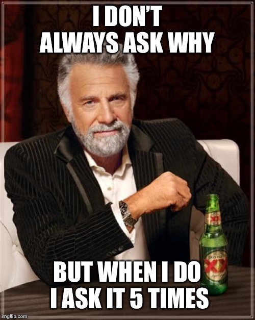 The Most Interesting Man In The World | I DON’T ALWAYS ASK WHY; BUT WHEN I DO I ASK IT 5 TIMES | image tagged in memes,the most interesting man in the world | made w/ Imgflip meme maker
