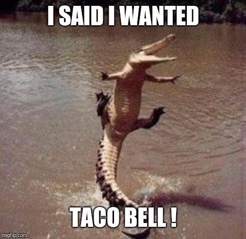 Alligator  | I SAID I WANTED TACO BELL ! | image tagged in alligator | made w/ Imgflip meme maker