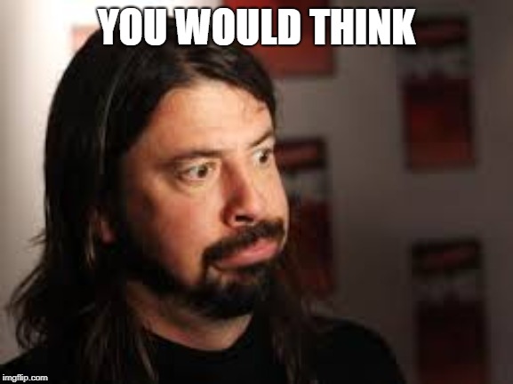 Dave Grohl Sigh Face | YOU WOULD THINK | image tagged in dave grohl sigh face | made w/ Imgflip meme maker