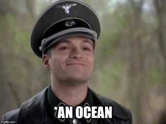 grammar nazi | *AN OCEAN | image tagged in grammar nazi | made w/ Imgflip meme maker