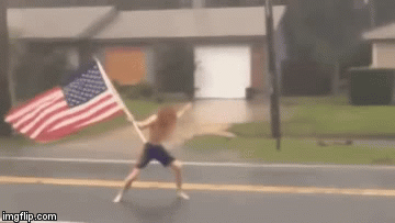 2v2dvd.gif