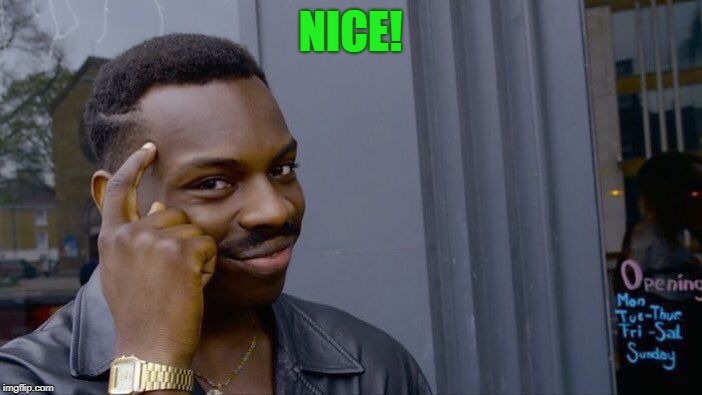 Roll Safe Think About It Meme | NICE! | image tagged in memes,roll safe think about it | made w/ Imgflip meme maker