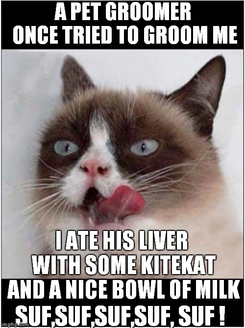 A PET GROOMER ONCE TRIED TO GROOM ME; I ATE HIS LIVER WITH SOME KITEKAT AND A NICE BOWL OF MILK; SUF,SUF,SUF,SUF, SUF ! | image tagged in grumpy cat,hannibal lecter silence of the lambs | made w/ Imgflip meme maker